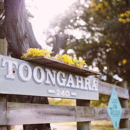 Torquaytoongahra Bnb Ngoại thất bức ảnh